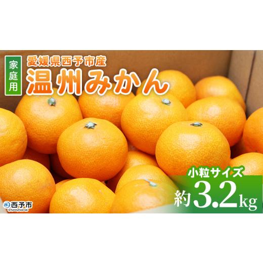 ふるさと納税 果物類 みかん 愛媛県 西予市 先行予約 愛媛県西予市産 温州みかん 小粒サイズ 家庭用 約3.2kg 愛媛県産 西宇和 小玉 小さめ 家庭用 果物 フルー…