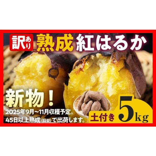 5本セット芋神隼人の芋神さつまいも