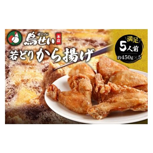 ふるさと納税 鶏肉 唐揚げ 北海道 清水町 鳥せい本店の若どりから揚げ 満足5人前 おかずやおつまみに やわらかジューシー 温めるだけ_S004-0007 から揚げ 満足…
