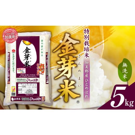 ふるさと納税 無洗米 宮城県 加美町 金芽米 無洗米 5kg 令和7年 新米 特別栽培米 ひとめぼれ 宮城県 加美産 宮城県 加美町 カブアンド カロリーオフ 糖質オフ …