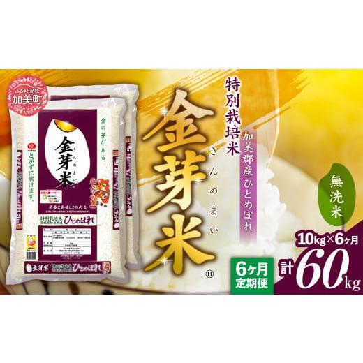ふるさと納税 無洗米 宮城県 加美町 金芽米 定期便 無洗米 10kg (5kg×2袋)× 6ヶ月 計 60kg 令和7年 米 特別栽培米 ひとめぼれ 宮城県 加美産 BG無洗米 宮城…