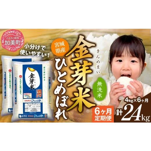 ふるさと納税 無洗米 宮城県 加美町 定期便 6回 米 無洗米 金芽米 令和7年 宮城県産 ひとめぼれ 計 24kg ( 4kg × 6回 ) 宮城県 加美町 km-my-knm04-t6-r7 小…
