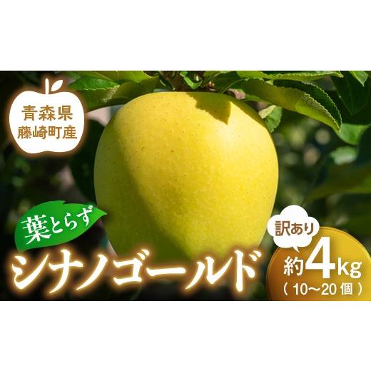 ふるさと納税 りんご 青森県 藤崎町  先行予約 訳あり 葉とらず シナノゴールド 約4kg (10〜20個) グランドアップル 青森りんご 林檎 リンゴ 訳アリ わけあり …_1