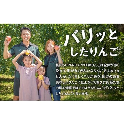 ふるさと納税 りんご 青森県 藤崎町  先行予約 訳あり 葉とらず シナノゴールド 約4kg (10〜20個) グランドアップル 青森りんご 林檎 リンゴ 訳アリ わけあり …_2