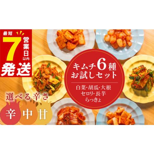 ふるさと納税 セット・詰合せ 大阪府 松原市 辛口 キムチ 6種 詰め合わせ 食べ比べ 小分け 白菜 長芋 胡瓜 大根 セロリ らっきょ アソート バラエティーセット…