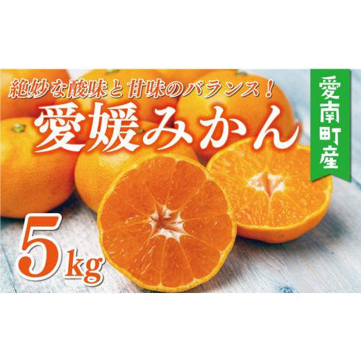 ふるさと納税 果物類 みかん 愛媛県 愛南町 先行予約 訳あり 愛媛みかん 5kg 7000円 愛媛 みかん 温州みかん 早生 みかん こたつ みかん 温州ミカン 温州 mik…