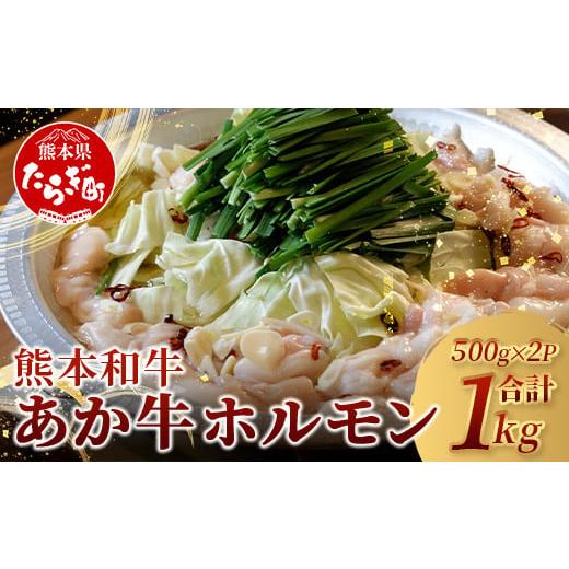 ふるさと納税 牛肉 ホルモン 熊本県 多良木町 通常発送 熊本県産 あか牛 ミックス ホルモン 1kg(500g×2パック) もつ鍋 焼肉 ホルモン 焼き BBQ 熊本県 あ…