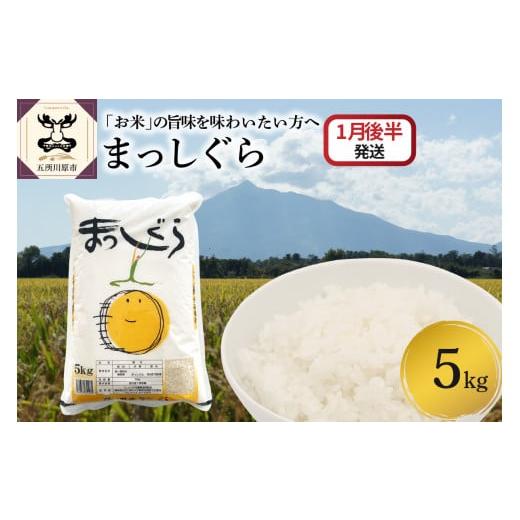 ふるさと納税 米 青森県 五所川原市 2026年1月後半発送 まっしぐら5kg(白米) 1月後半発送