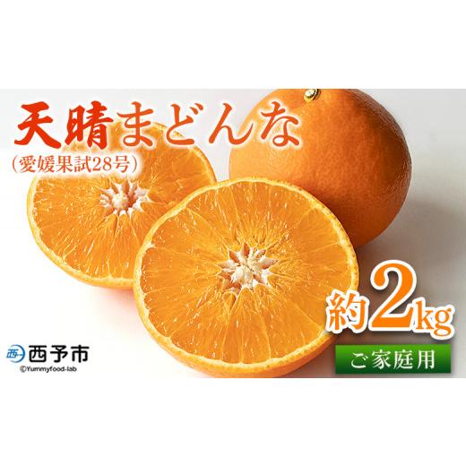 ふるさと納税 果物類 みかん 愛媛県 西予市 先行予約 紅まどんなと同品種 天晴まどんな(愛媛果試28号)ご家庭用 約2kg マドンナ 訳あり 果物 くだもの フル…