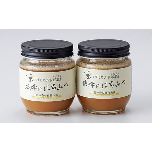 ふるさと納税 加工品等 はちみつ 熊本県 人吉市 人吉球磨産『幻の地蜜の蜂蜜』200g 2個 蜂蜜 はちみつ ハチミツ お取り寄せの画像