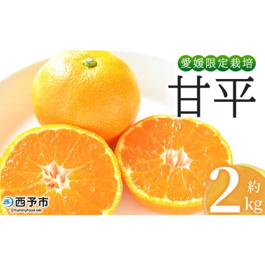 ふるさと納税 みかん・柑橘類 愛媛県 西予市 おはこやがつくる 甘平 約2kg(L〜3Lサイズ) 果物 フルーツ 柑橘 カンペイ みかん ミカン 蜜柑 特産品 西宇和 …
