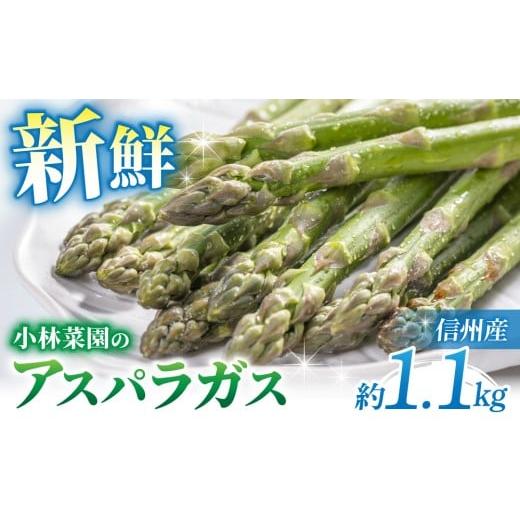 ふるさと納税 野菜類 アスパラガス 長野県 東御市 先行受付2026年発送 小林菜園 農家直送 アスパラガス1.1kg(L〜3Lサイズ)| 2026年4月上旬以降発送
