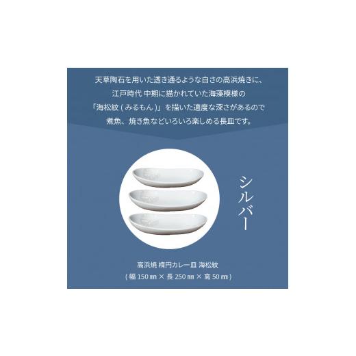 ふるさと納税 陶磁器・漆器・ガラス 熊本県 天草市 S026-159_天草 高浜焼 楕円カレー皿 3枚セット(シルバー) シルバーの画像