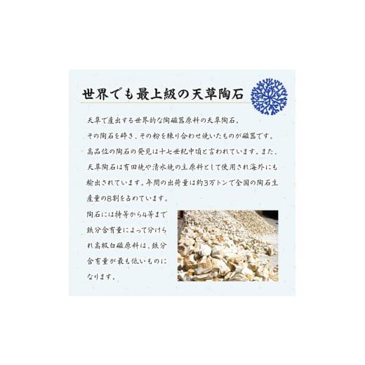 ふるさと納税 陶磁器・漆器・ガラス 熊本県 天草市 S026-159_天草 高浜焼 楕円カレー皿 3枚セット(シルバー) シルバーの画像