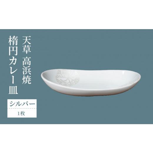 ふるさと納税 陶磁器・漆器・ガラス 熊本県 天草市 S026-062_天草 高浜焼 楕円カレー皿 1枚セット(シルバー) シルバー
