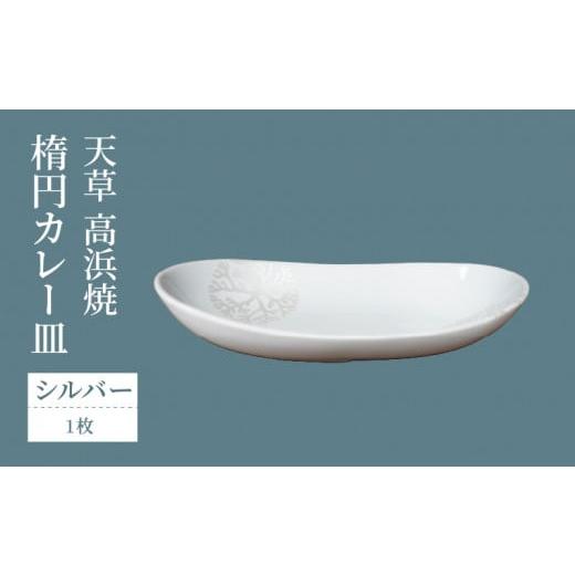 ふるさと納税 陶磁器・漆器・ガラス 熊本県 天草市 S026-062_天草 高浜焼 楕円カレー皿 1枚セット(シルバー) シルバー_1
