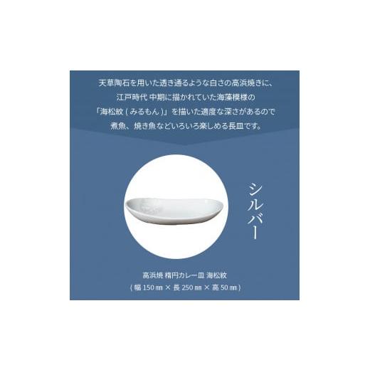 ふるさと納税 陶磁器・漆器・ガラス 熊本県 天草市 S026-062_天草 高浜焼 楕円カレー皿 1枚セット(シルバー) シルバー_2