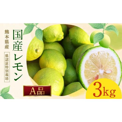 ふるさと納税 みかん・柑橘類 レモン 熊本県 水俣市 イエローレモン A品 約3kg 国産 柑橘 果物 フルーツ 2025年12月上旬〜2026年6月上旬迄発送予定 2025年12月…