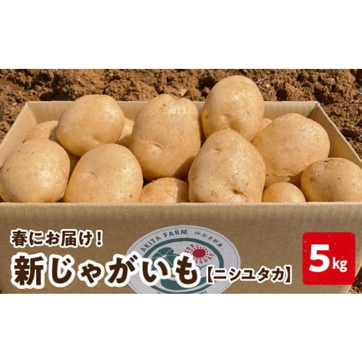 ふるさと納税 野菜類 じゃがいも 鹿児島県 知名町 2026年先行予約 新じゃがいも ニシユタカ5kg 2月お届け C056-004-01 (1)2月お届け