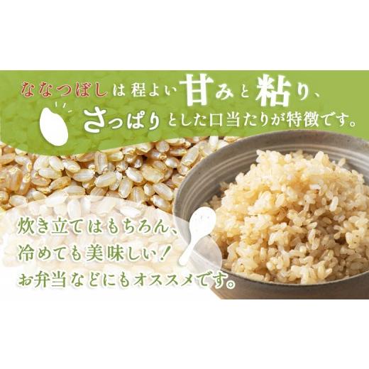 ふるさと納税 玄米 北海道 ニセコ町 《数量限定受付 令和7年産米》合鴨農法ななつぼし 玄米 有機肥料／無農薬・無化学肥料・備蓄用 令和7年度米　10kg(1kg×10…