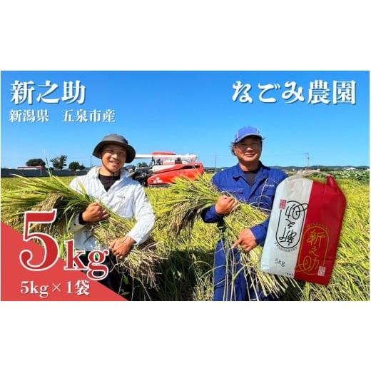 ふるさと納税 米 新潟県 五泉市 令和7年産米 なごみ農園の新之助5kg (5kg×1袋) 新潟県 五泉市 なごみ農園