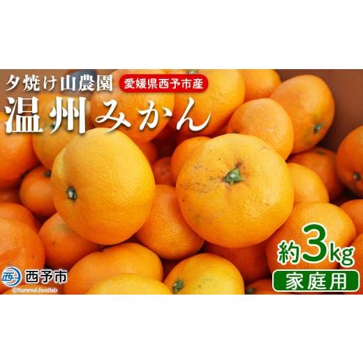 ふるさと納税 果物類 みかん 愛媛県 西予市 夕焼け山農園 愛媛県西予市産 温州みかん 家庭用 約3kg 果物 フルーツ ミカン 蜜柑 柑橘 なんかん 訳あり うんし…