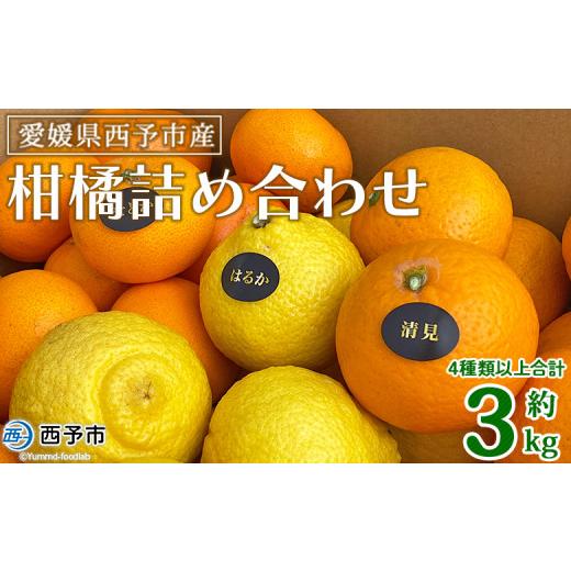 ふるさと納税 みかん・柑橘類 愛媛県 西予市 愛媛県西予市産 柑橘詰め合わせ 合計約3kg 果物 フルーツ お任せ おまかせ お楽しみ みかん ミカン 蜜柑 食べ比…
