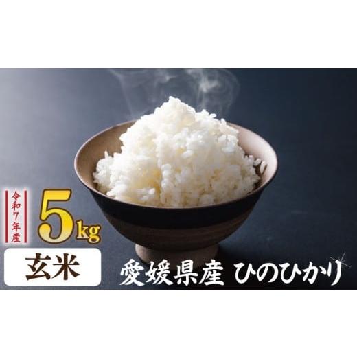 ふるさと納税 玄米 愛媛県 松山市 玄米 ひのひかり 5kg | お米 愛媛県産米 ふるさと納税お米 こめ ご飯 ご飯のおとも ご飯 おにぎり 弁当 おこめ ごはん 飯 …