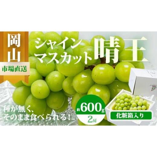 ふるさと納税 ぶどう マスカット 岡山県 和気町 ZZ-18 令和8年発送・先行予約 岡山県産 シャインマスカット(1房600g以上・晴王)2房 化粧箱入り