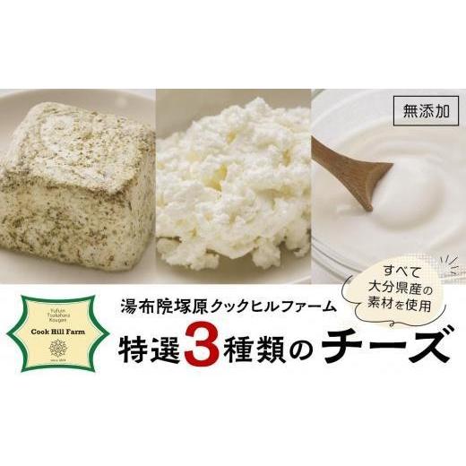 ふるさと納税 加工品等 チーズ 大分県 由布市 お歳暮 湯布院クックヒルファームからお届け〜ゆふいん牛乳でつくった特選 3種類の 無添加 チーズset〜