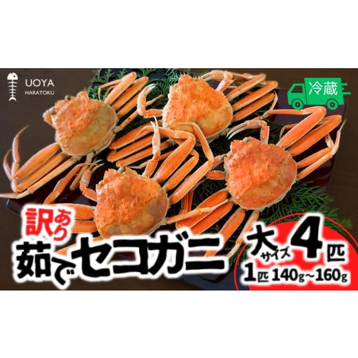 ふるさと納税 カニ 兵庫県 香美町 数量限定 訳あり 茹で セコガニ 大サイズ(140〜160g)4匹 指落ち(1〜2本)冷蔵 11月中旬以降順次発送 カニの本場 香住 濃…