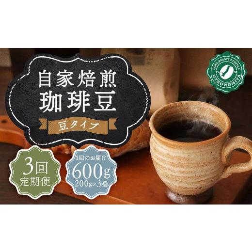 ふるさと納税 コーヒー コーヒー豆 長崎県 長崎市 全3回定期便 〈豆