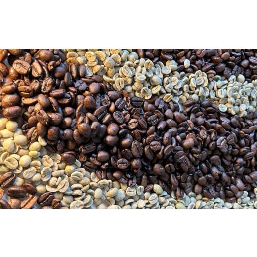 ふるさと納税 コーヒー コーヒー豆 長崎県 長崎市 全3回定期便 〈豆