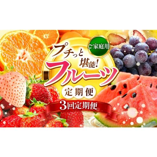 ふるさと納税 果物の詰合せ 熊本県 玉名市 定期便 3回 プチっと 堪能 家庭用 フルーツ定期便 | 果物 フルーツ 高評価 いちご みかん 不知火 スイカ ぶどう 梨…