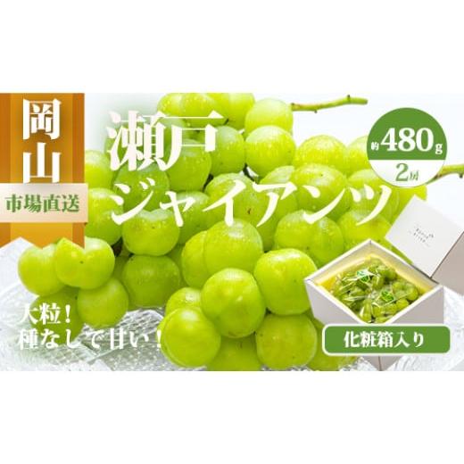 ふるさと納税 果物類 ぶどう 岡山県 和気町 jj-105 令和8年発送・先行予約 岡山県産 瀬戸ジャイアンツ2房(1房480g以上)合計約1kg 化粧箱入り