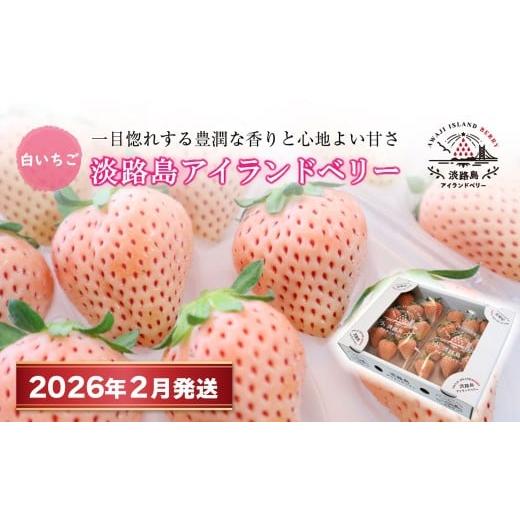 ふるさと納税 いちご 兵庫県 淡路市 淡路島アイランドベリー 白苺淡雪 2026年2月発送予約受付・お届け日指定不可 2026年2月発送・お届け日指定不可