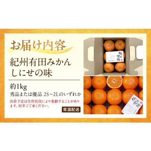 ふるさと納税 果物類 みかん 和歌山県 有田川町 有田みかん しにせの味
