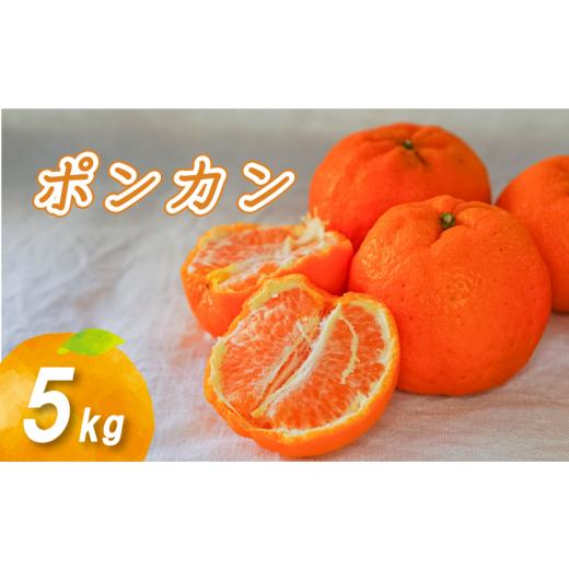 ふるさと納税 果物類 みかん 愛媛県 松山市 2026年2月中旬から順次発送 低農薬栽培ポンカン 5kg 5kg ¥10,000