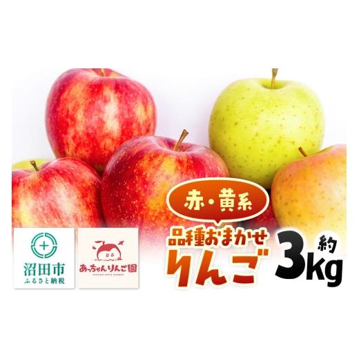 ふるさと納税 りんご 群馬県 沼田市 [11月上旬〜下旬にお届け]品種おまかせ りんご 約3kg(7〜10個前後)箱入り あっちゃんりんご園 林檎 りんご リンゴ 3kg…