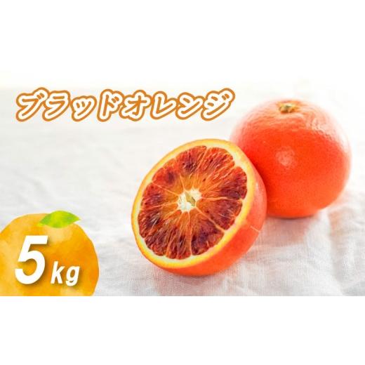 ふるさと納税 果物類 みかん 愛媛県 松山市 2026年1月下旬より発送 ブラッドオレンジ 5kg 5kg ¥12,000