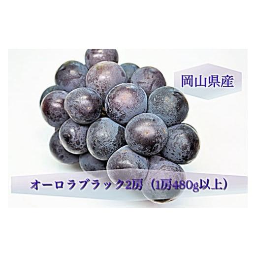 ふるさと納税 果物類 ぶどう 岡山県 和気町 BS-20 令和8年発送・先行予約 岡山県産 オーロラブラック2房(1房480g以上)化粧箱入り