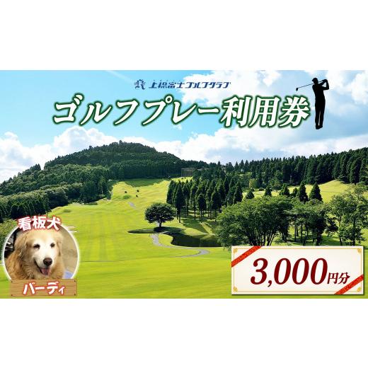 ふるさと納税 ゴルフ場利用券 千葉県 君津市 上総富士ゴルフクラブ 利用券 3,000円分 | イベント チケット 体験チケット ゴルフ ゴルフ利用券 看板犬 千葉県 …_1