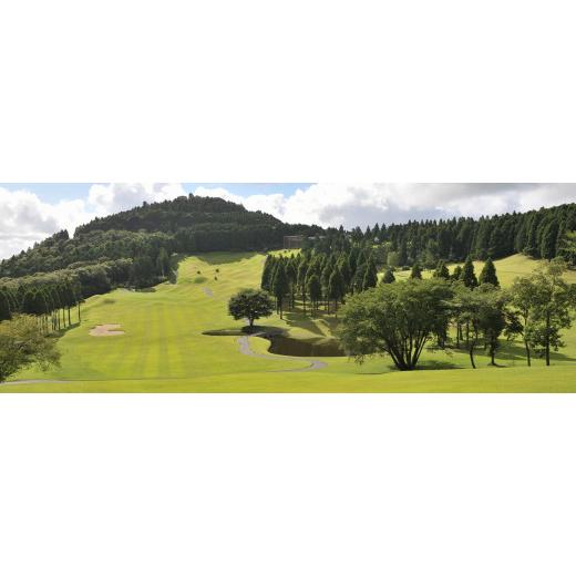 ふるさと納税 ゴルフ場利用券 千葉県 君津市 上総富士ゴルフクラブ 利用券 3,000円分 | イベント チケット 体験チケット ゴルフ ゴルフ利用券 看板犬 千葉県 …_3