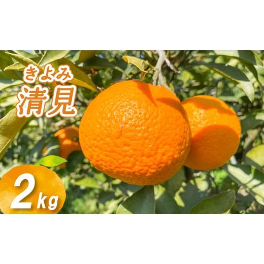 ふるさと納税 果物類 みかん 愛媛県 松山市 2026年2月下旬より発送 低農薬栽培清見 2kg 2kg ¥5,000