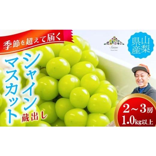 ふるさと納税 ぶどう マスカット 山梨県 富士川町 季節を超えて届く 11月〜12月発送 蔵出し シャインマスカット 1.0kg以上(2〜3房) フルーツ 山梨県産 果…