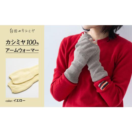 ふるさと納税 服 女 宮城県 加美町 アームウォーマー(L.イエロー) 白田のカシミヤ カシミア 小物 L.イエロー