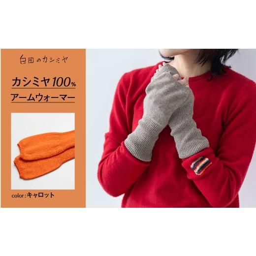 ふるさと納税 服 女 宮城県 加美町 アームウォーマー(キャロット) 白田のカシミヤ カシミア 小物 キャロット