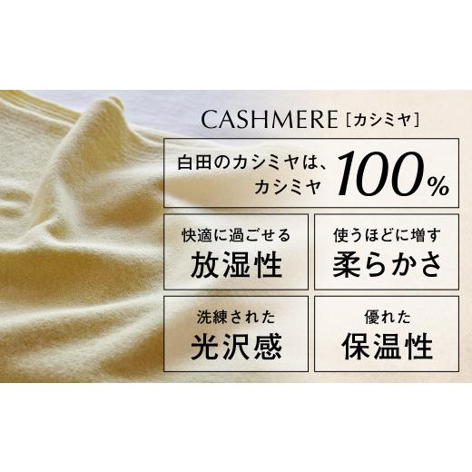 ふるさと納税 服 女 宮城県 加美町 アームウォーマー（コルク） 白田のカシミヤ カシミア 小物 コルクの画像
