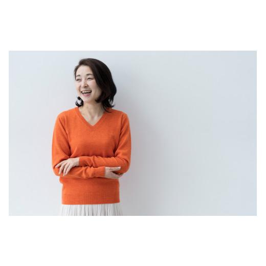 ふるさと納税 服 女 宮城県 加美町 Vネックプルオーバー 度詰(キャロット)女性用サイズ:L(40) 白田のカシミヤ キャロット L(40) サイズ