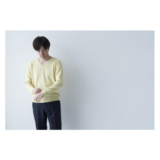 ふるさと納税 服 男 宮城県 加美町 Vネックプルオーバー 度詰(L.イエロー)男性用サイズ:LL(46) 白田のカシミヤ L.イエロー LL(46) サイズ